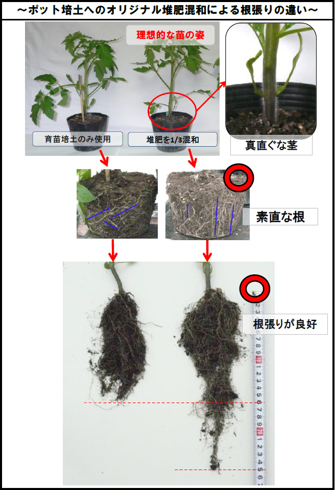 ～ポット培土へのオリジナル堆肥混和による根張りの違い
