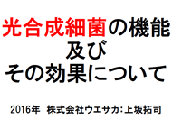 光合成細菌の昨日及びその効果について