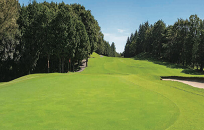 土壌浸透活性剤「ランディープ」